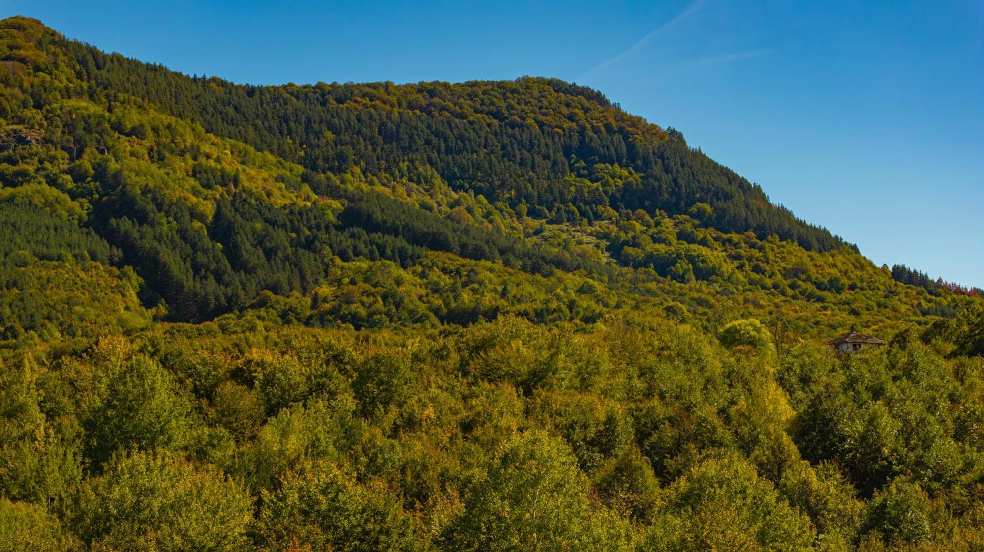 Хотелски Комплекс Саня Apriltsi (Lovech) Exterior foto